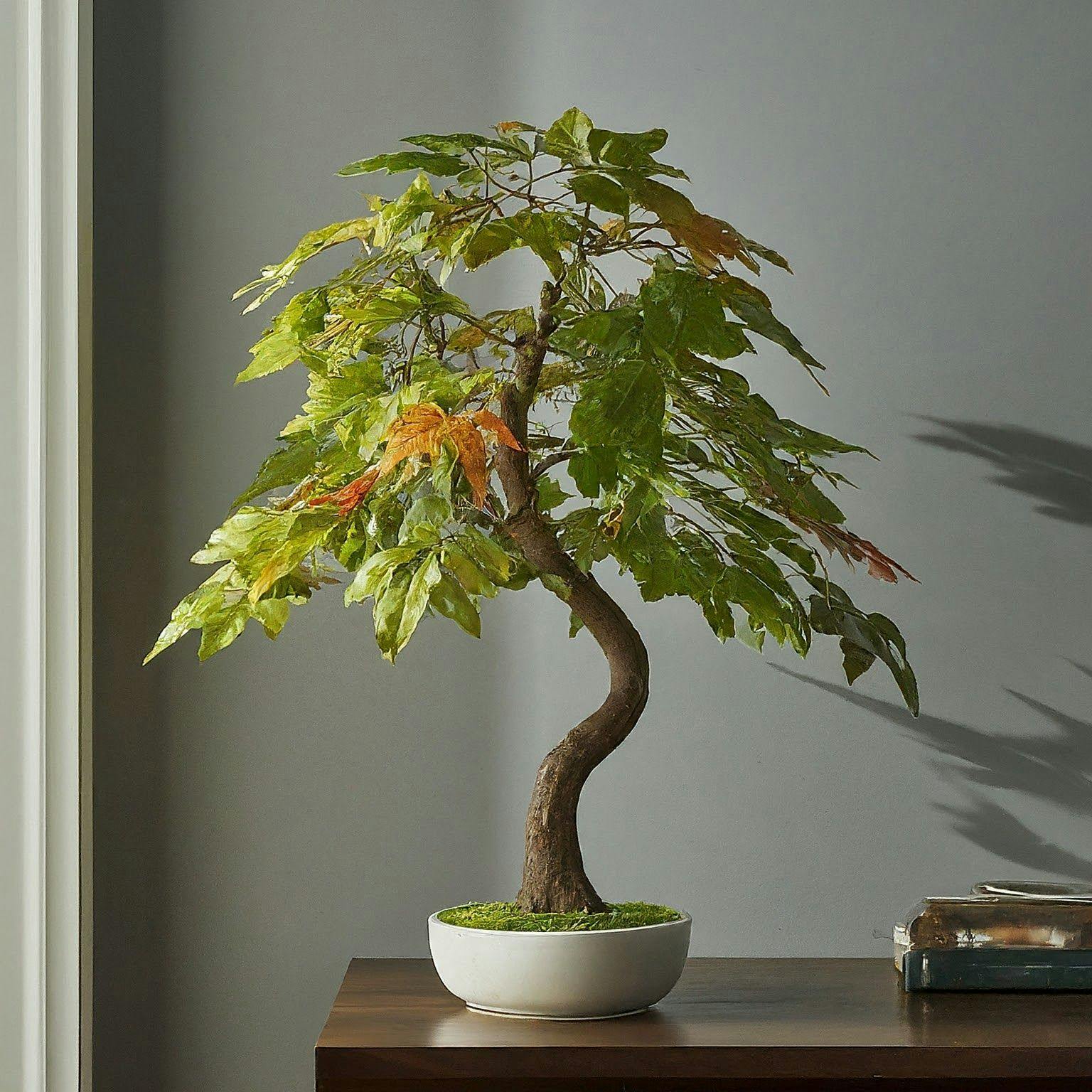  Top 5 Artificial Bonsai Trees to Cultivate Tranquility in Any Space