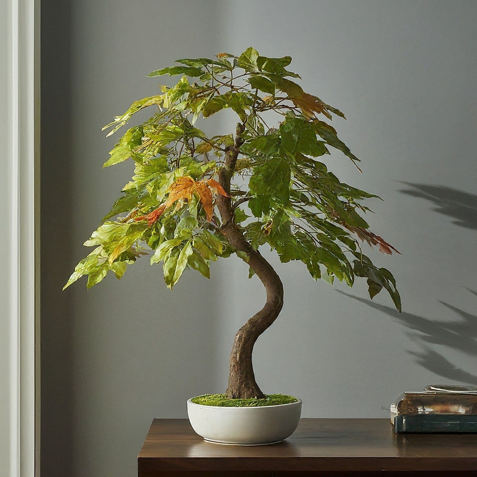 Top 5 Artificial Bonsai Trees to Cultivate Tranquility in Any Space